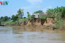 Sông Đồng Nai sạt lở, đất đai bị “gặm” hàng chục mét