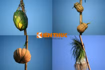 Khám phá chợ nổi đặc sắc nhất VN khiến Tây mê mẩn