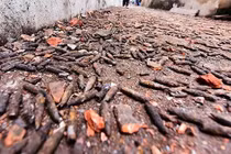 Lập chốt kiểm soát phế liệu sau vụ nổ ở Bắc Ninh