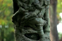 “Ma cây” bóp cổ man rợ giữa ban ngày ở Hà Nội