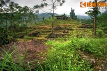 Soi bãi đá có hình khắc cổ mới phát hiện ở VN