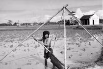 Ngắm Đông Dương 1948 trên tạp chí LIFE (2)