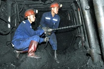 Nghề này tưởng đơn giản, nhẹ nhàng nhưng hoá ra lại nguy hiểm nhất thế giới