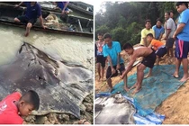 Cả làng hợp sức bắt thủy quái khổng lồ dưới sông