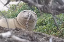 Kinh ngạc loạt phát hiện lạ kỳ nhất thế giới năm 2018