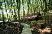 Khám phá căn cứ địa huyền thoại Rừng Sác