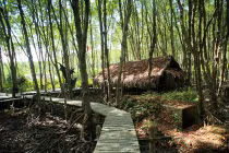 Khám phá căn cứ địa huyền thoại Rừng Sác