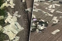 “Cơn mưa” tiền USD trút xuống, đường cao tốc Đức buộc phải đóng cửa