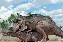 Tận mục cảnh "làm tình” có 1-0-2 của các loài khủng long