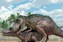 Tận mục cảnh "làm tình” có 1-0-2 của các loài khủng long