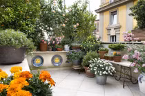 Muốn ly hôn vì vợ giàu không chịu làm điều này cho nhà chồng