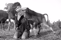 Ảnh cực chất về đồng quê Việt Nam thập niên 1950