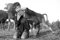 Ảnh cực chất về đồng quê Việt Nam thập niên 1950