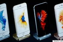 Giải mật loài cá bí ẩn xuất hiện cùng iPhone 6S