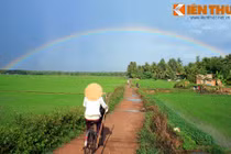 Người Việt không thông minh, và cũng chẳng cần cù?