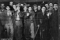 Rùng rợn thí nghiệm trên người tàn ác của phát xít Đức 