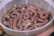 Sốc phản vệ sau khi ăn sá sùng