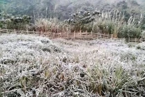 Nghệ An: Nhiệt độ hạ xuống -20C, băng tuyết trắng xóa
