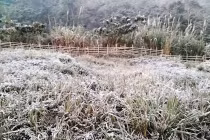 Nghệ An: Nhiệt độ hạ xuống -20C, băng tuyết trắng xóa