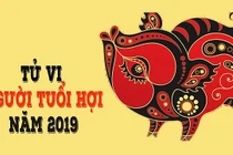 Tử vi tuổi Hợi năm 2019: Phúc hoạ khôn lường, hết sức cẩn trọng