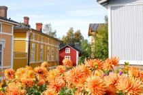 Vẻ đẹp nao lòng của khu phố cổ nổi tiếng Phần Lan