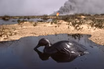 Tận mục thảm họa môi trường trong chiến tranh vùng Vịnh 1991