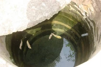 10 kho báu bí ẩn gây xôn xao ở VN (1)