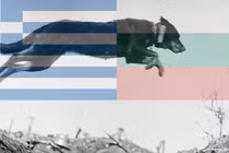 Khó tin cuộc chiến đẫm máu vì con chó đi lạc năm 1925