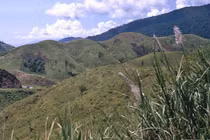 Kho ảnh khổng lồ về VN 1991-1993: Đại ngàn Tây Nguyên 