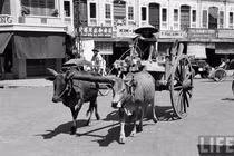 Ảnh độc về kế sinh nhai ở Sài Gòn năm 1950 (2)