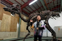 Vấp vật lạ, đào được “quái vật” khổng lồ