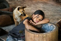 Bất ngờ loạt ảnh chó ở Việt Nam lọt vào ống kính phóng viên quốc tế