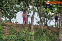 Tận mục dấu tích tòa thành cổ xưa nhất Việt Nam