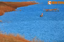 Ngắm vẻ đẹp như mơ của hồ Thác Mơ