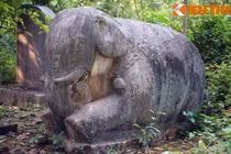 Cận cảnh cặp voi đá cổ lớn nhất Việt Nam 