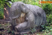 Cận cảnh cặp voi đá cổ lớn nhất Việt Nam 