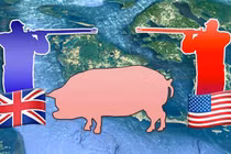 Giải mã bất ngờ về chiến tranh Lợn điên rồ nhất
