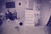 Dân mạng bàn tán về 2 'bóng ma' xuất hiện trên camera an ninh