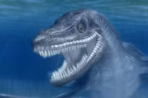 7 quái vật có thể có thật ở Nhật Bản