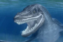 7 quái vật có thể có thật ở Nhật Bản