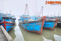 Bến cảng lịch sử gắn với sự nghiệp nguyên Thủ tướng Phan Văn Khải 