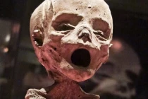 Cảnh tượng khủng khiếp trong bảo tàng xác ướp 