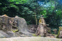 Lạc vào khu rừng thiêng nổi tiếng nhất châu Phi