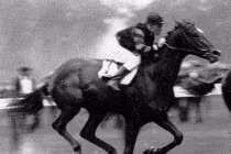 10 tuấn mã huyền thoại trên trường đua thế kỷ 20