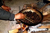 Lên Tả Phìn ăn… thịt chuột rừng gác bếp