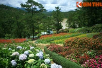 Khung cảnh thần tiên ở Thung lũng Tình Yêu Đà Lạt