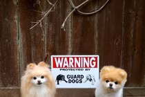 Chết cười với sự thật sau tấm biển “cẩn thận chó dữ“