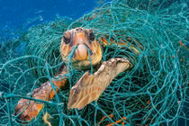 Con số gây sốc về ô nhiễm rác thải nhựa