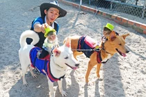 Khỉ ngồi trên lưng chó chạy đua độc đáo ở Nha Trang