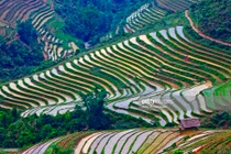 Ba miền Việt Nam tuyệt đẹp qua ống kính John Banagan